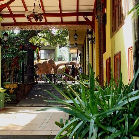Green Land Guest House Pinnawala  Exterior photo