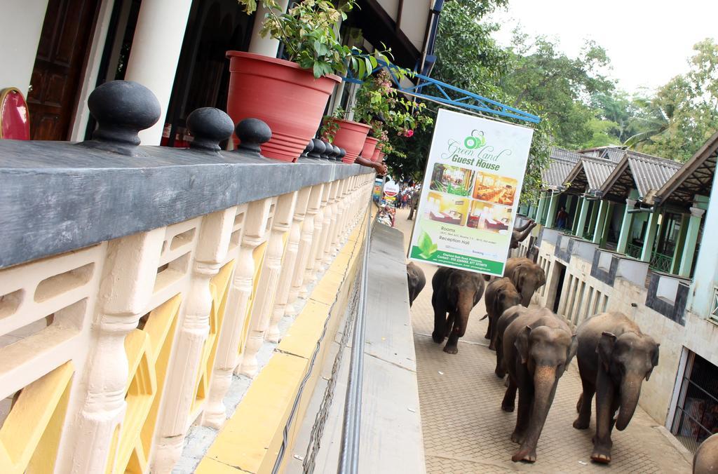 Green Land Guest House Pinnawala  Exterior photo