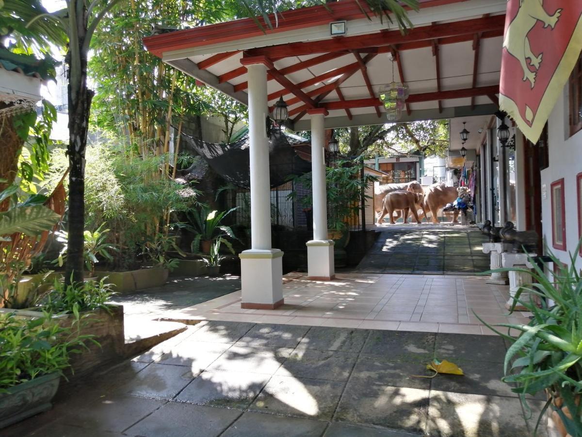 Green Land Guest House Pinnawala  Exterior photo